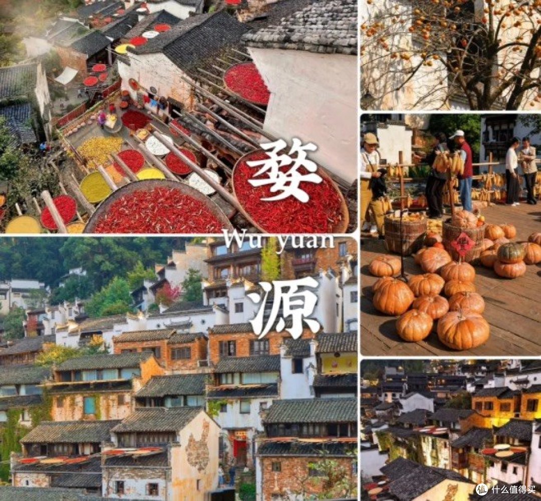 12月-1月最佳旅游地推荐|玩到爽!