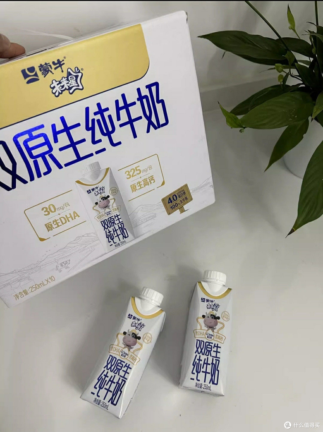 手把手教你如何给孩子挑选一款好牛奶,未来星双原生纯牛奶助力孩子健康成长,值得拥有