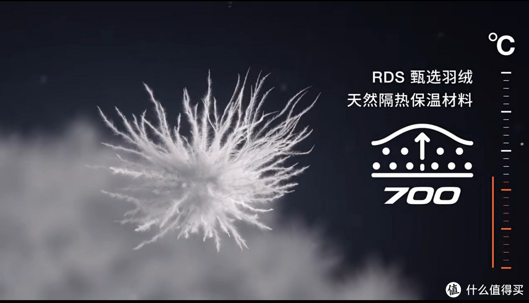 三天 60 亿,零下 20 多度的哈尔滨,南方小仙(tu)女(豆)都在穿什么,我能有什么坏心思!