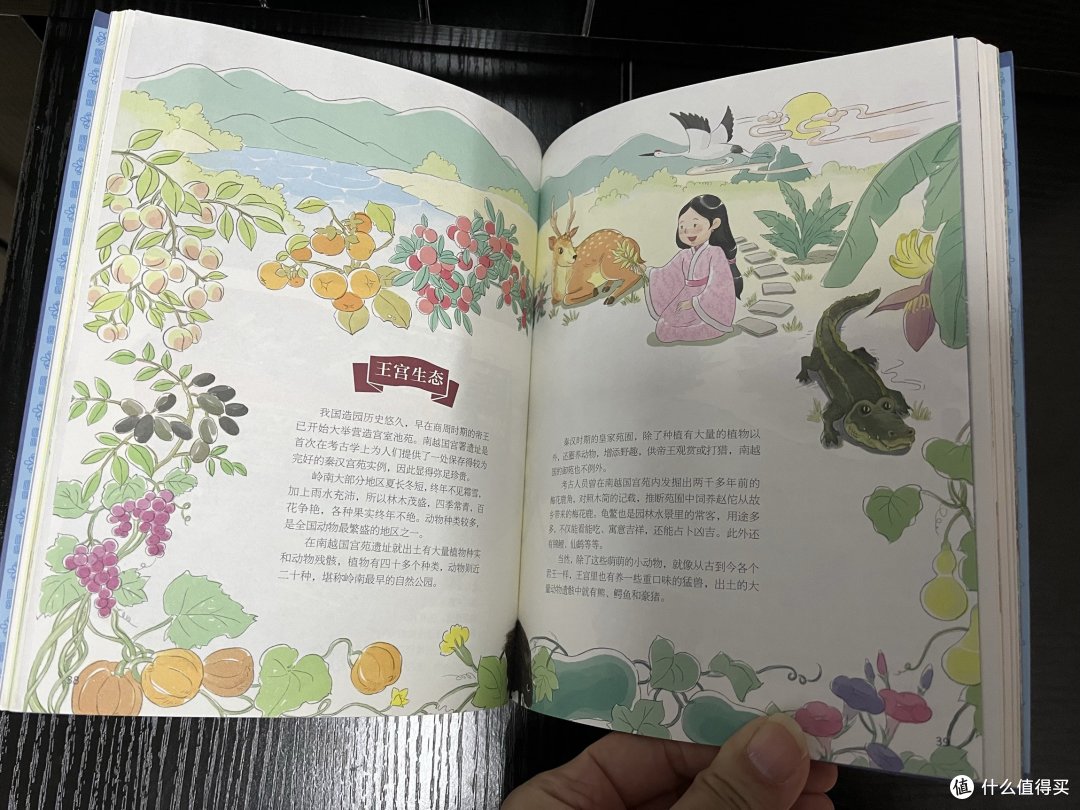 2023我的好生活推荐:老廣新游之神游南越国
