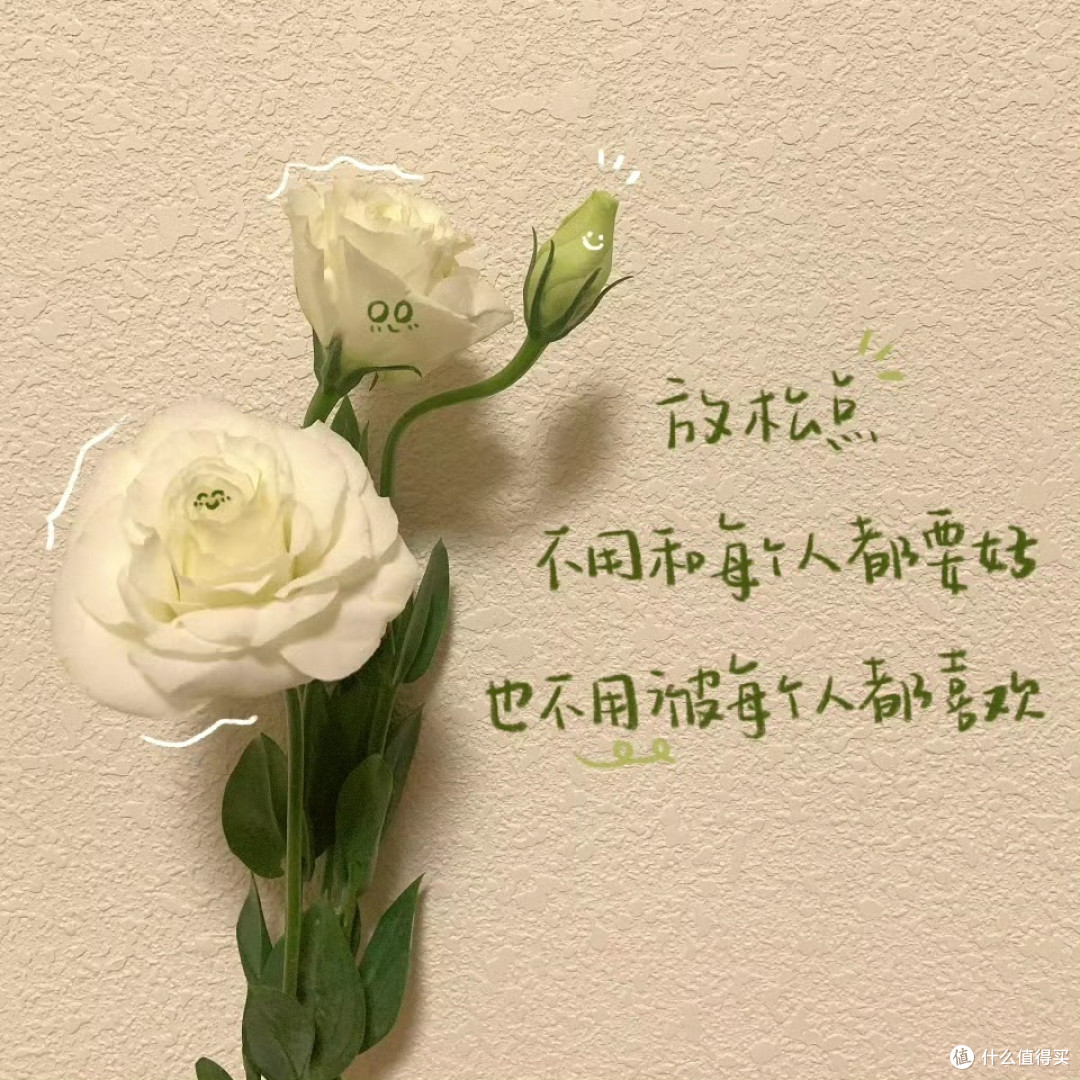 离过年只有31 天啦！ 要准备年货的，送礼的，三只松鼠礼盒可以搞起来了！