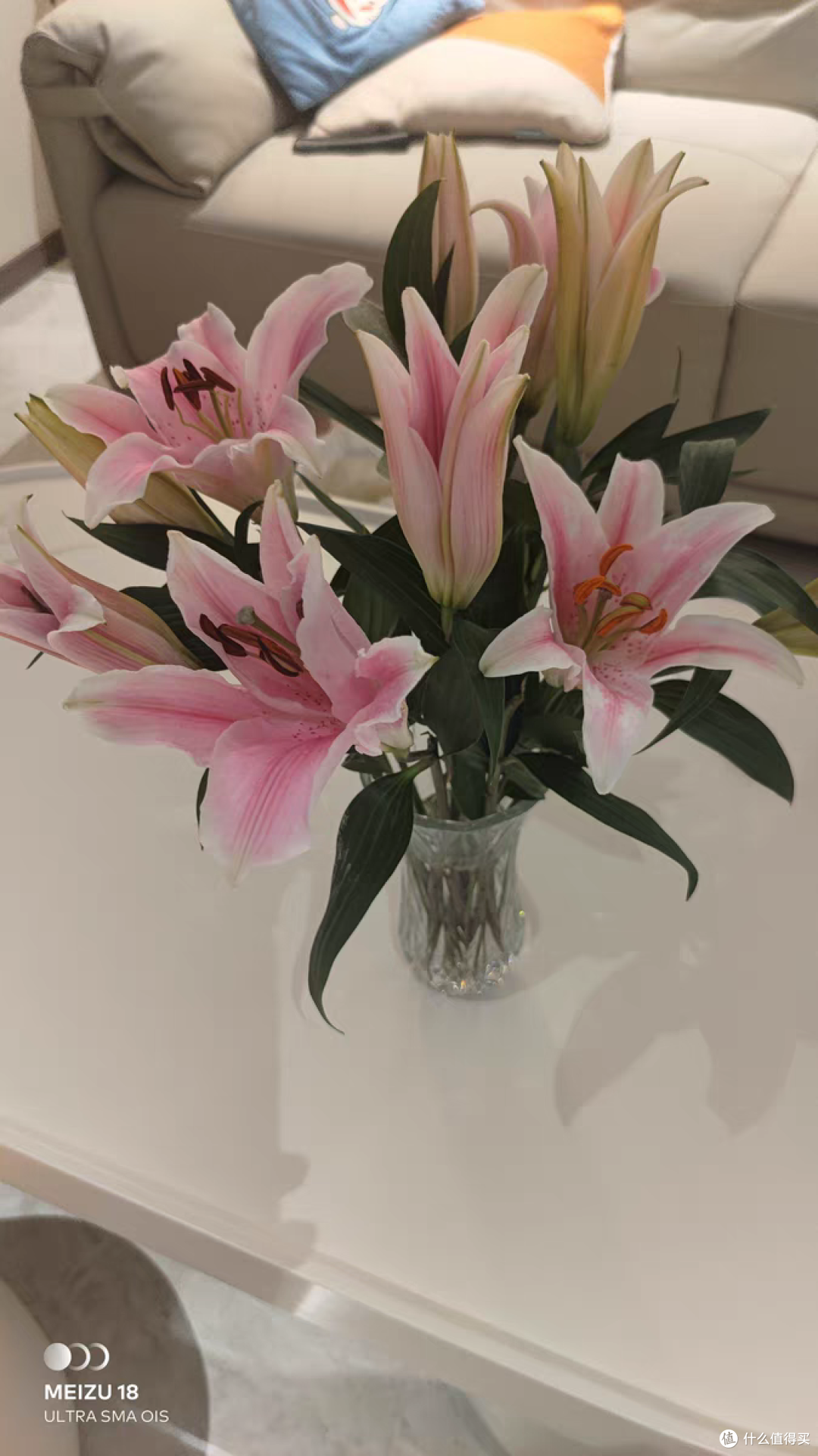 芳香四溢的百合花,过年必买的花卉