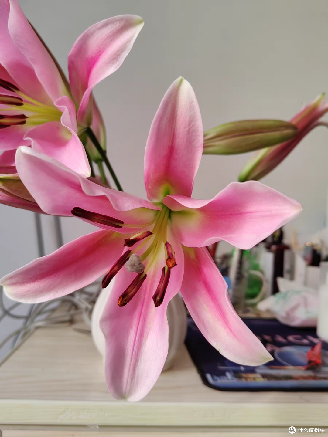 芳香四溢的百合花,过年必买的花卉