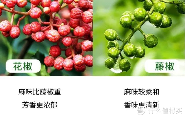 舌尖上的美味：藤椒油！