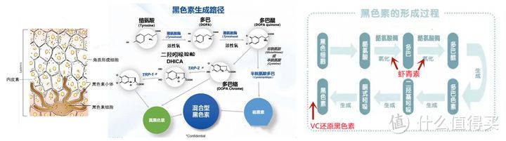 【2024年氨基酸洗面奶推荐】12款控油清爽|祛痘淡印|美白提亮|保湿不紧绷的洗面奶，闭眼买不踩雷！