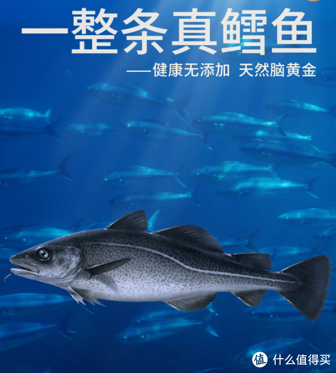 10-12斤真鳕鱼只要184.5元，过年送礼就用它！