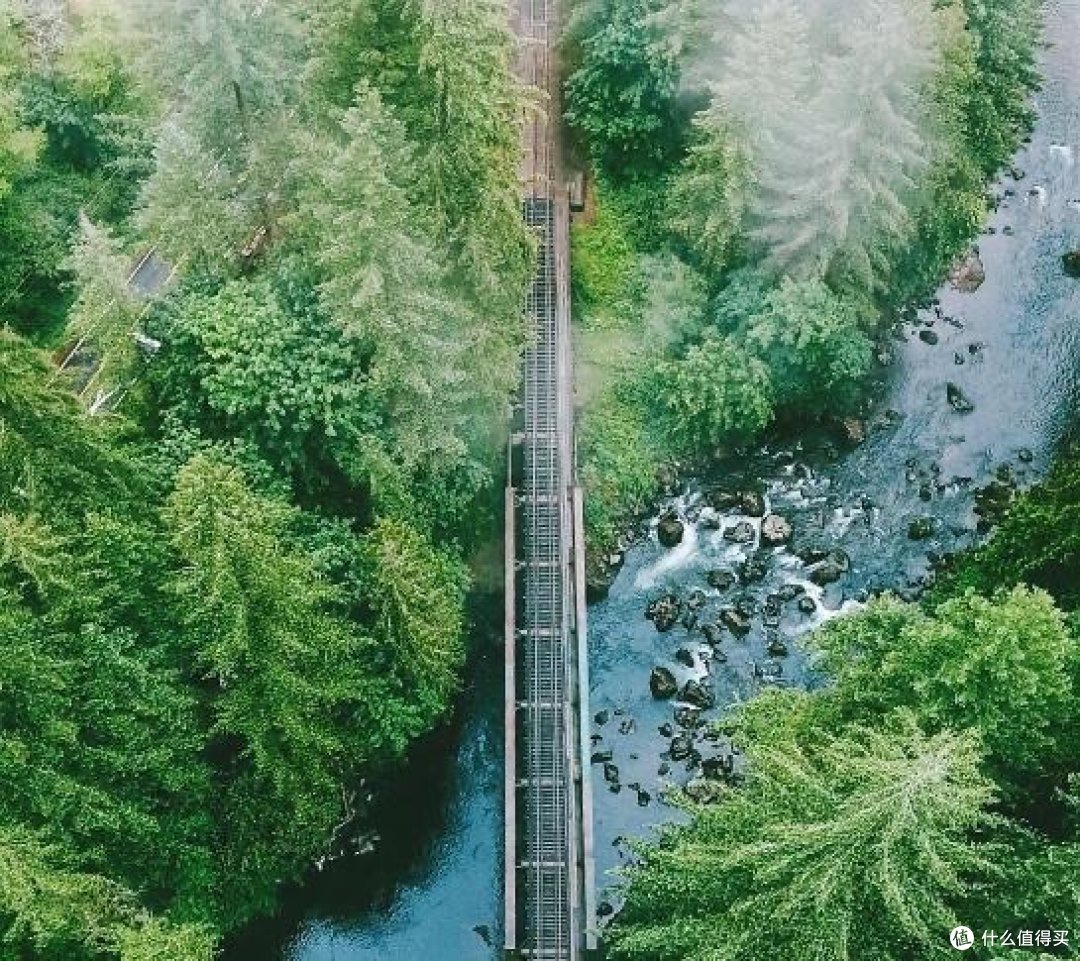 情绪管理：如何有效应对负面情绪