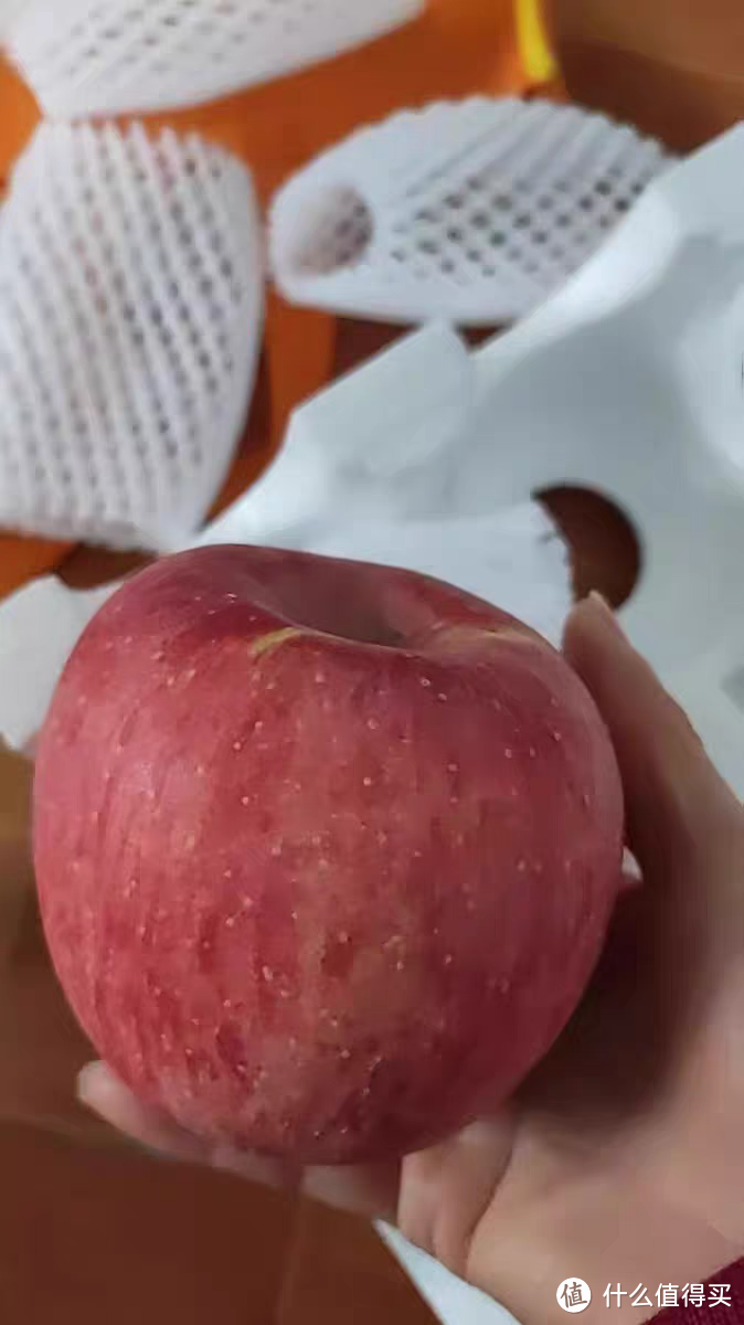 香甜可口的红富士苹果，过年不能少水果