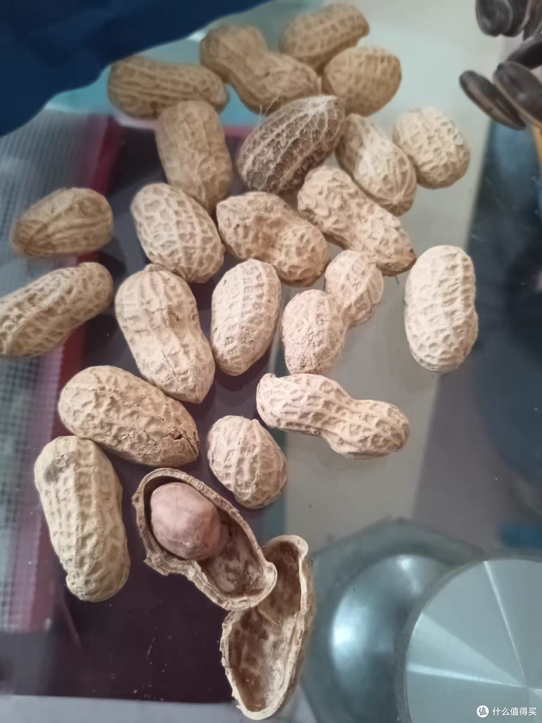 健康又有营养的花生,过年必备的小零食