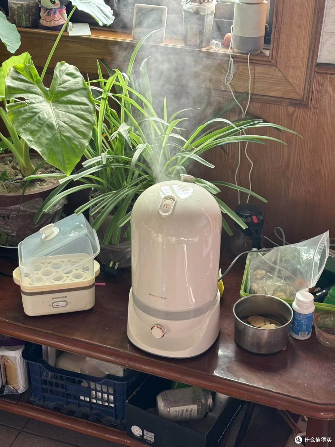 大肚子~~长续航~~外观精致的摩飞杀菌加湿器