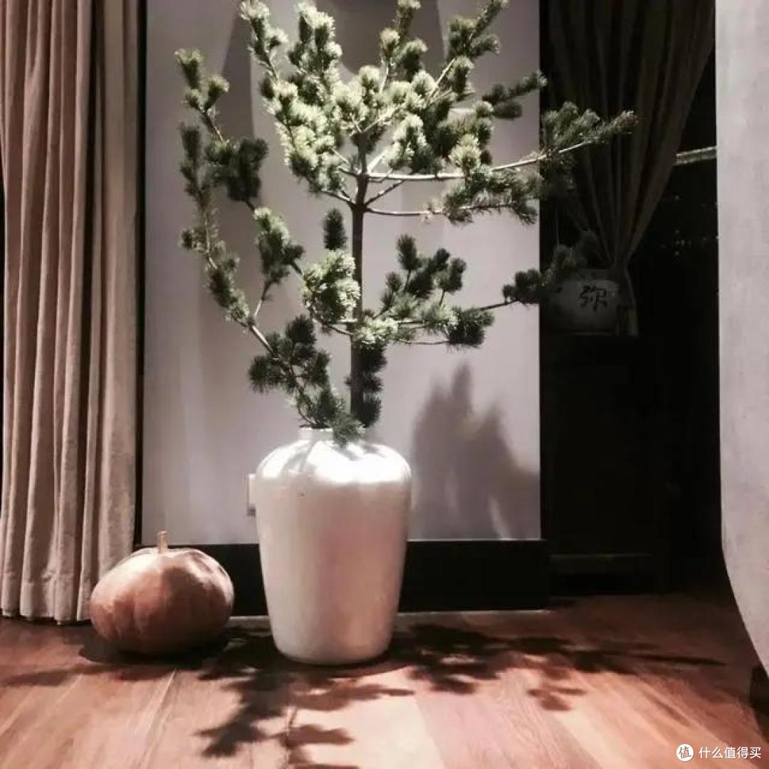 44岁殷桃的豪宅火了，屋里院内种满花草，网友：堪称“世外桃源”