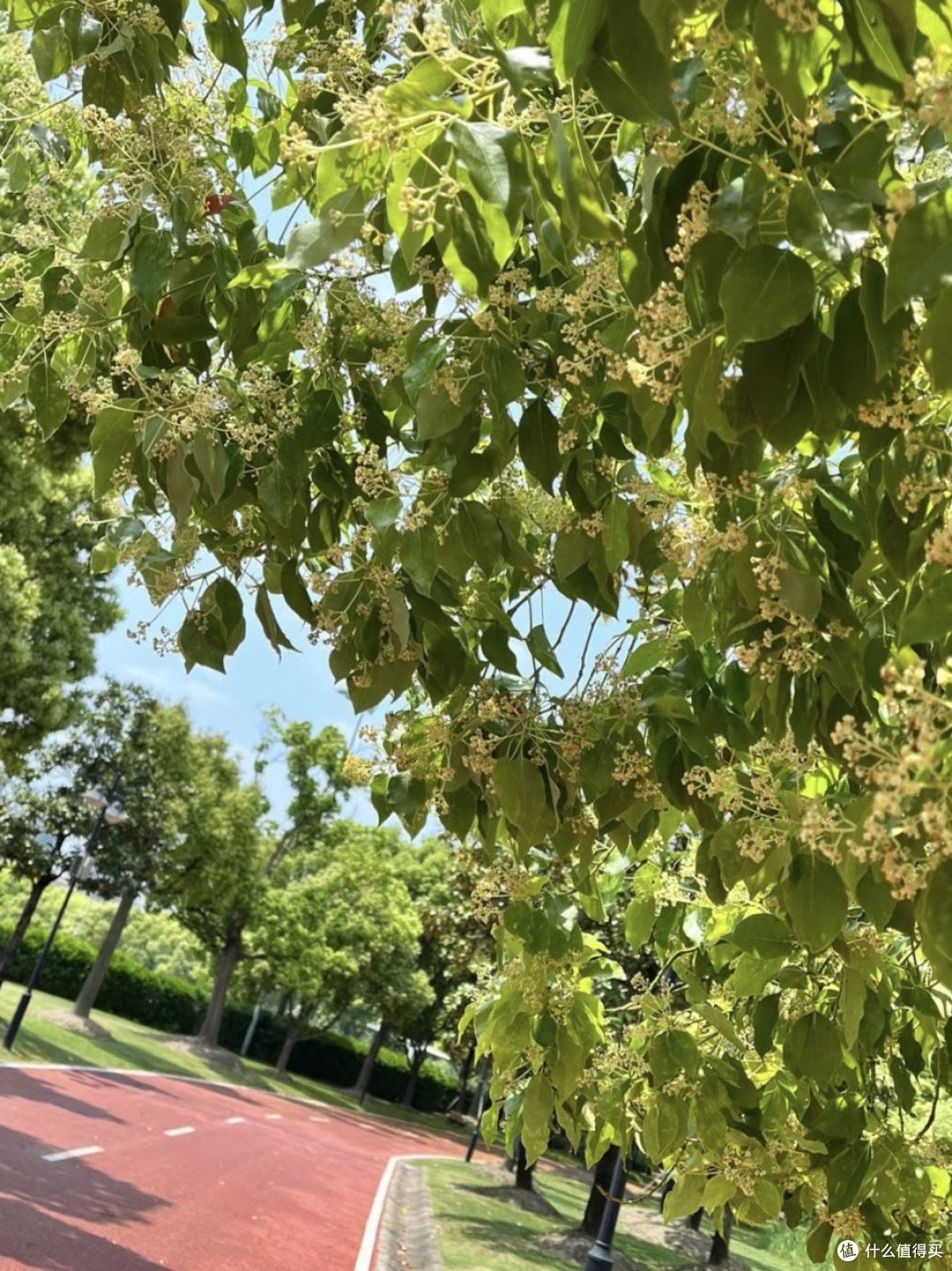 慢行世界｜徒步探秘，感受大自然的呼吸🌿🌍 