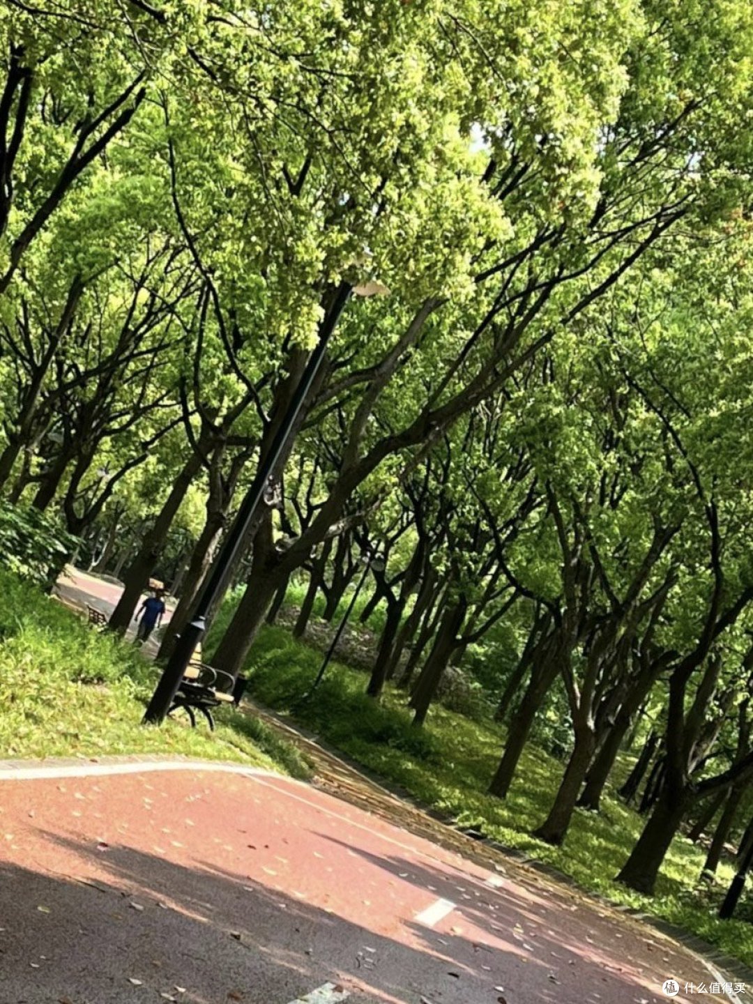 慢行世界｜徒步探秘，感受大自然的呼吸🌿🌍 