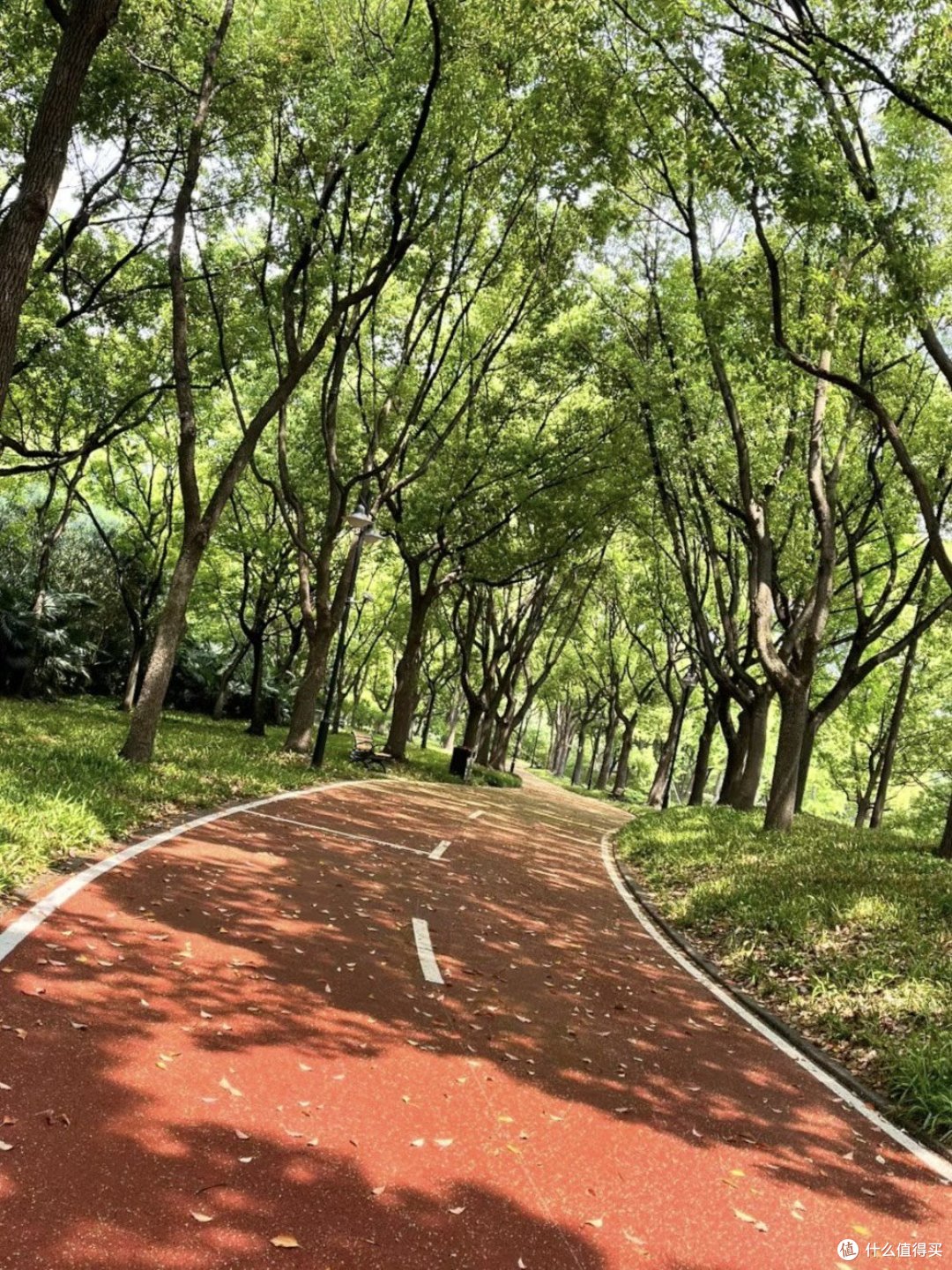 慢行世界｜徒步探秘，感受大自然的呼吸🌿🌍 