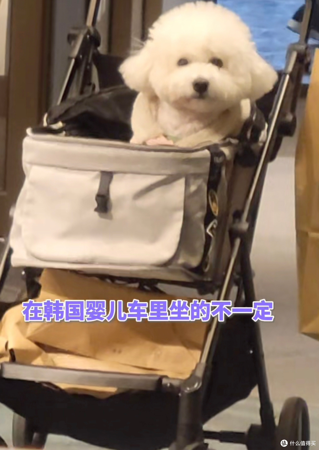“闺蜜和我老公结婚了”,这部复仇爽剧的路子也太野了!