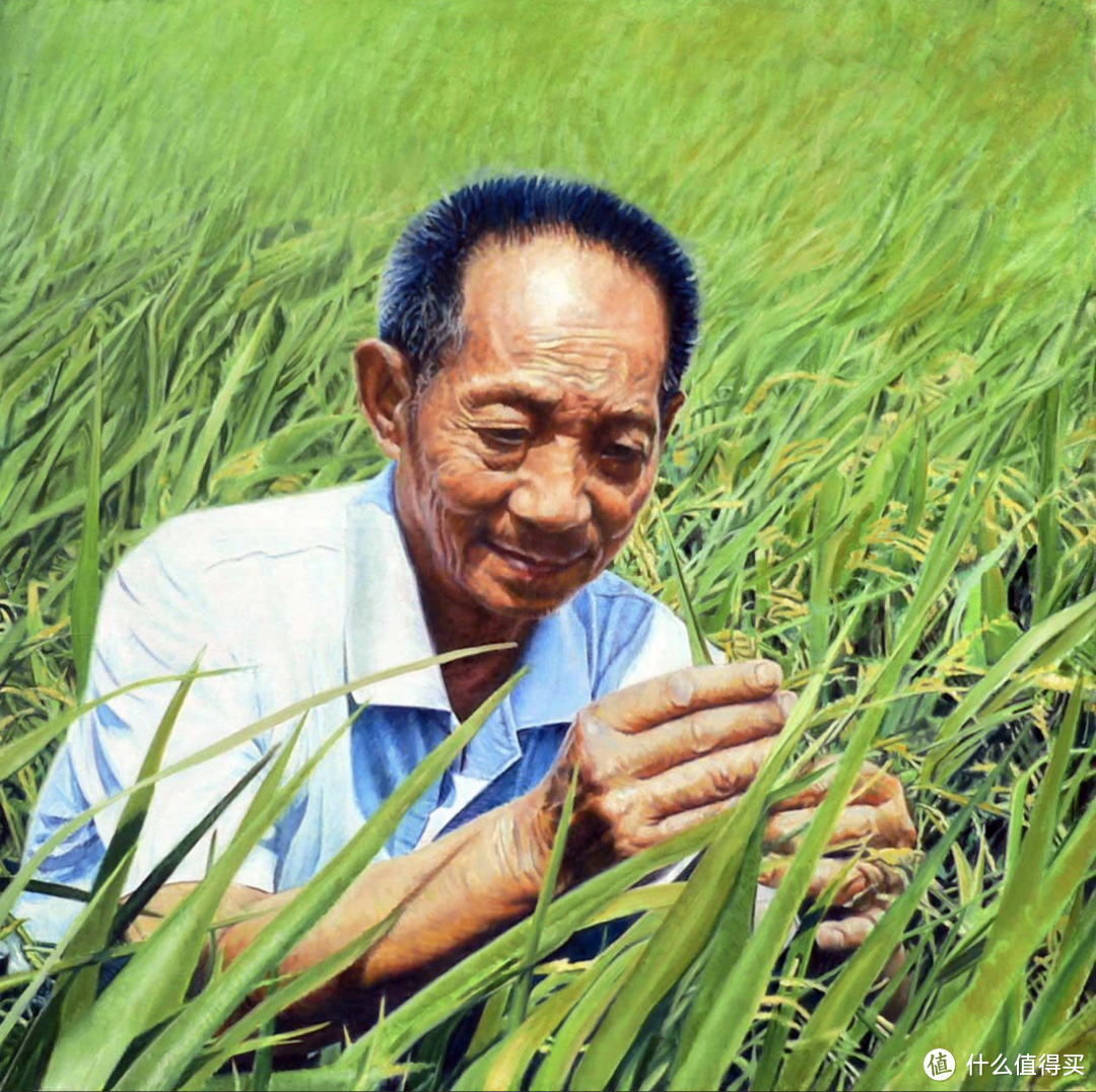 籼米、粳米是啥？珍珠米、香米、五常大米有何区别？关于大米的那些事！
