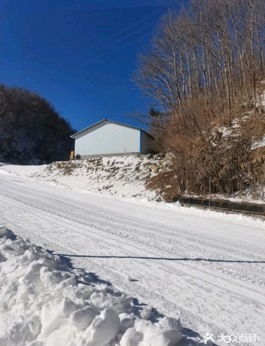 我也想去尔滨滑雪