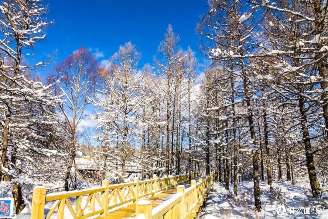 一年降雪7个月，童话冰雪王国照进现实！