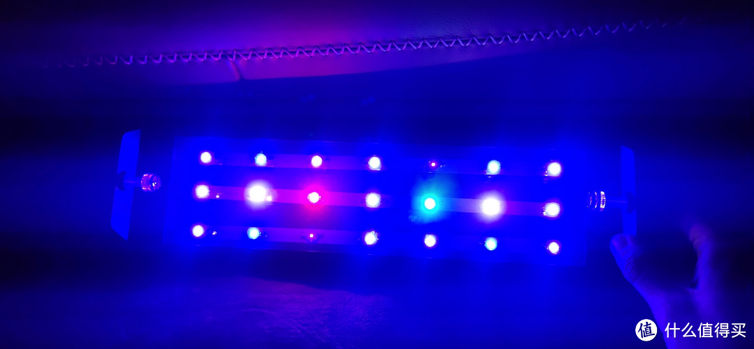 自己做的灯，7灯3排共21w，蓝光两种，红绿，紫外线，白光搭配