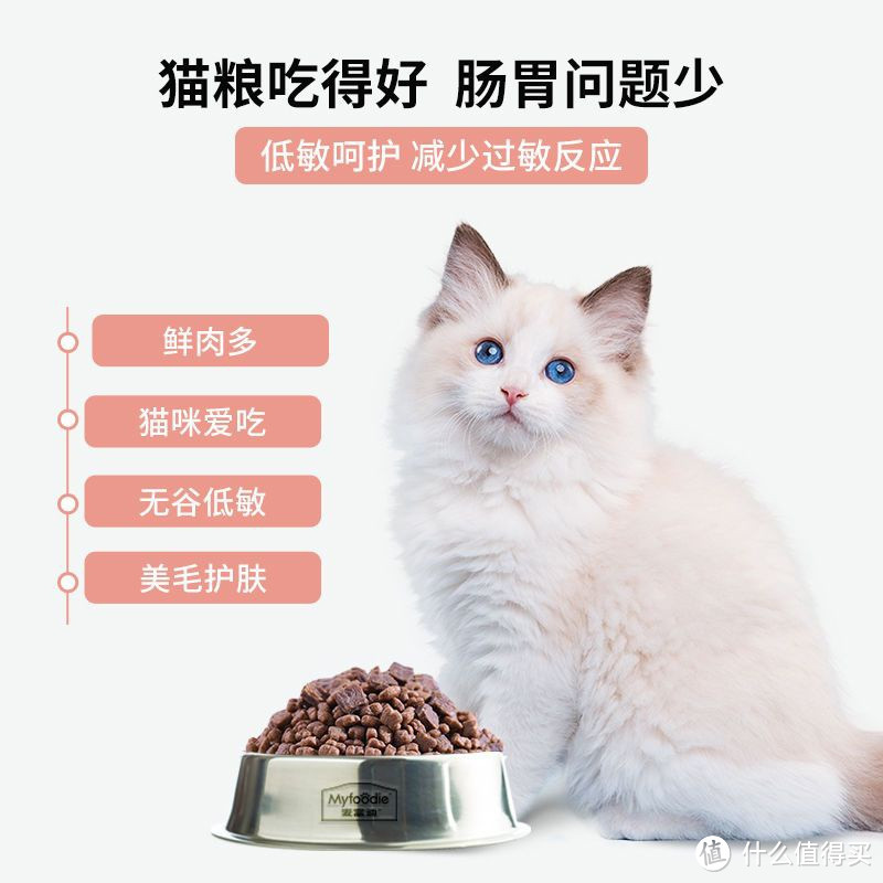 宠物年货必备的好物，麦富迪猫粮的好价格种草清单。