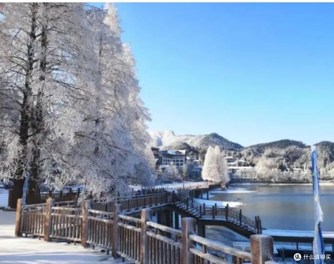 九宫山滑雪,速度与激情的碰撞!