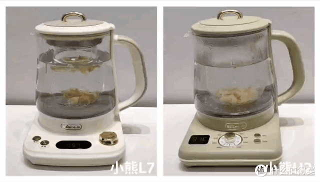 5款养生壶推荐测评：养生壶怎么选？养生壶什么牌子好？小熊/北鼎/美的等5款养生壶深度测评