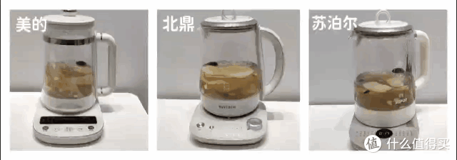 5款养生壶推荐测评：养生壶怎么选？养生壶什么牌子好？小熊/北鼎/美的等5款养生壶深度测评
