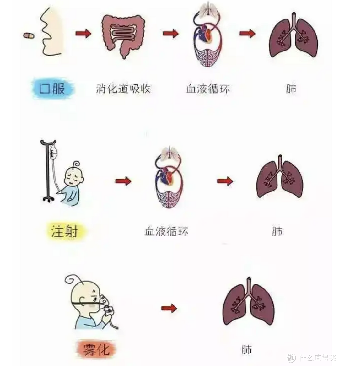 一文看懂家用雾化器怎么选？我觉得买贵不如买对，细腻平缓、易吸收才是硬道理