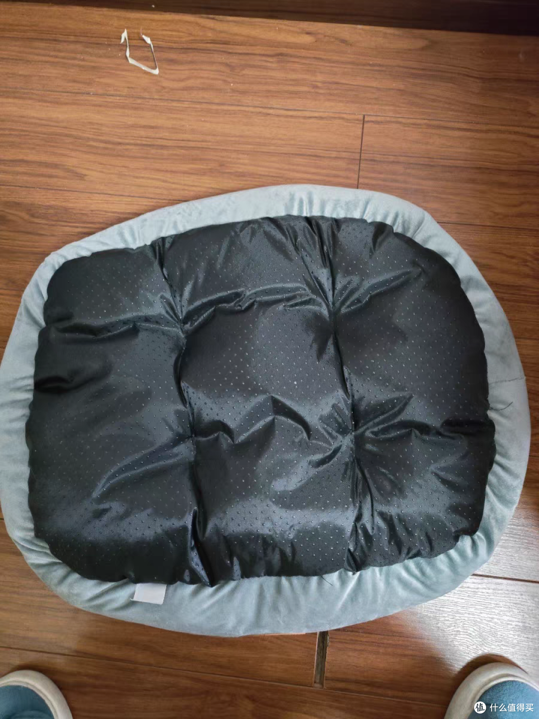 过年了,家里的毛孩子也要换新窝了