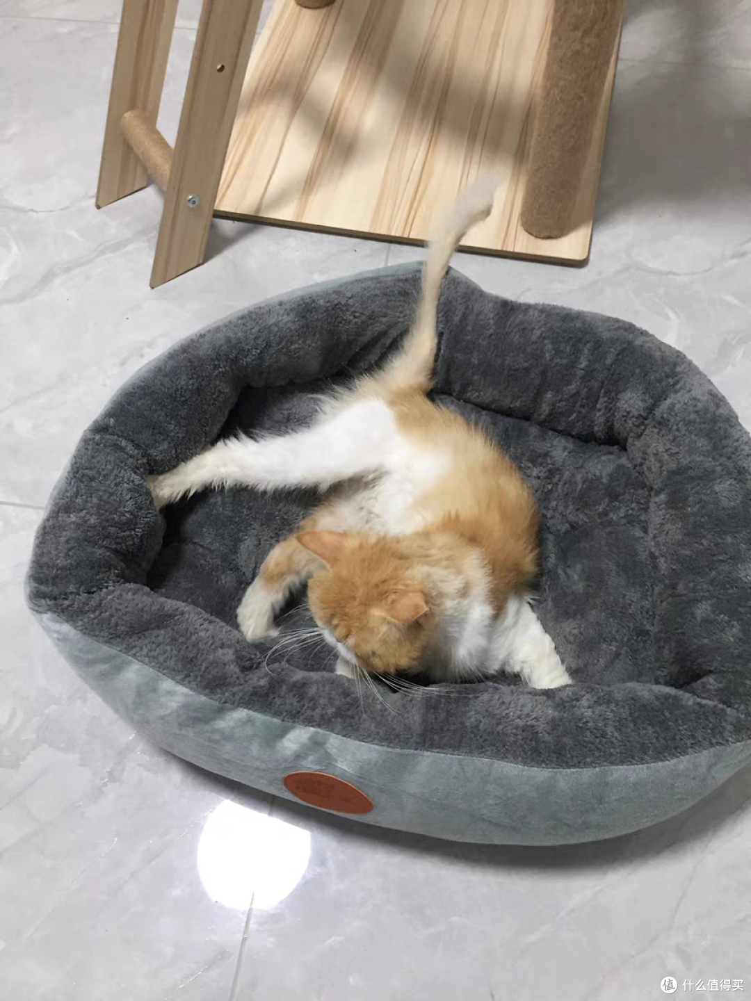 柔软又舒适的猫窝,过年给毛孩子必买的好物