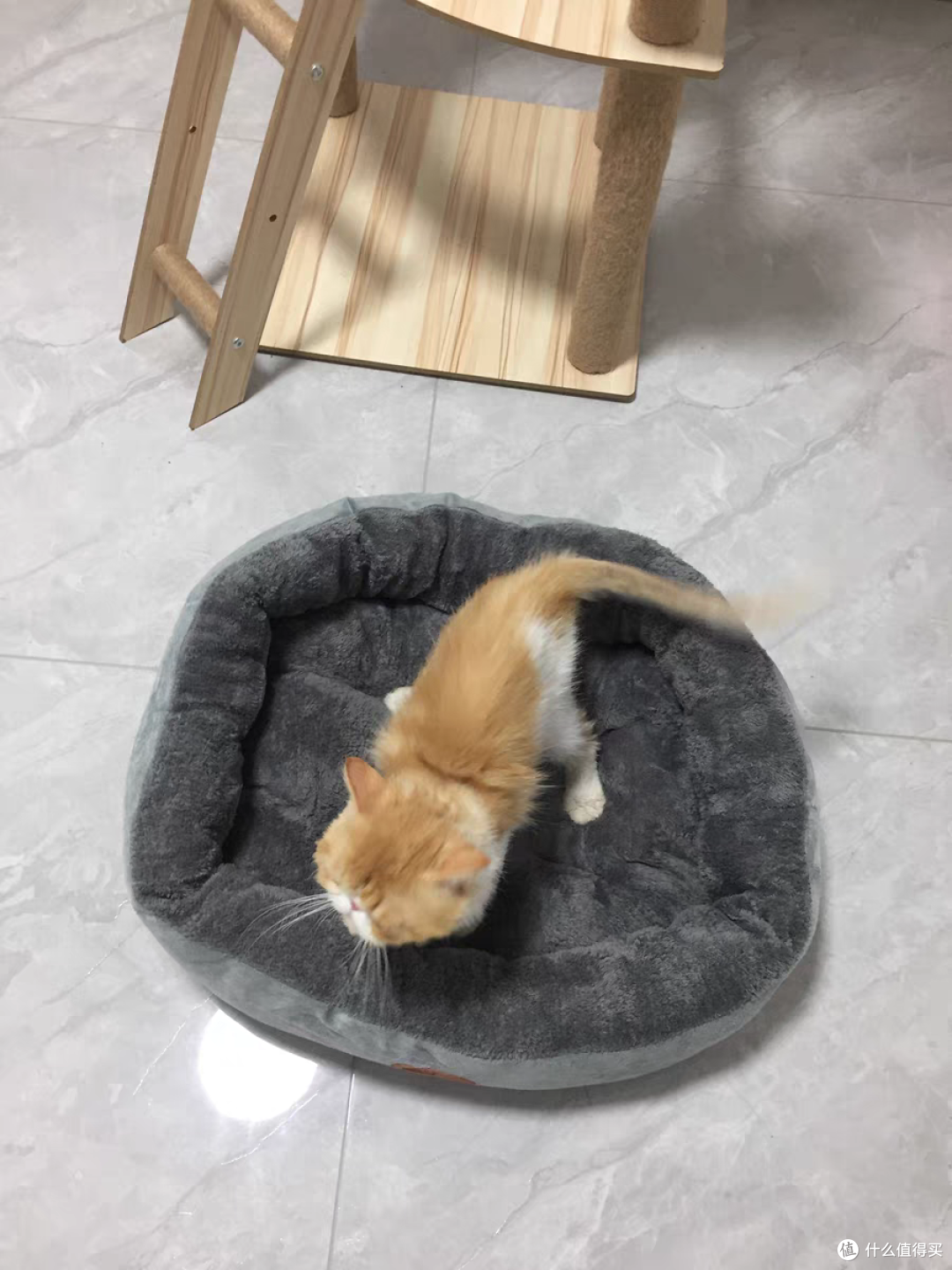 柔软又舒适的猫窝,过年给毛孩子必买的好物