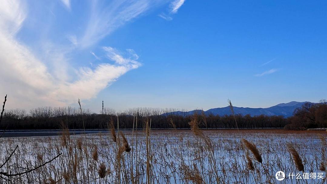 有你更酷，iQOO12手机摄影记录冬季颐和园西堤的美景
