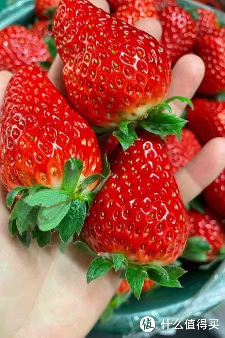 丹东草莓，甜进心里