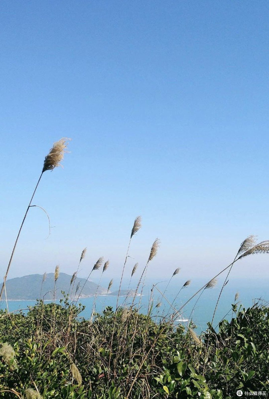个人发展：提升自我效能的策略