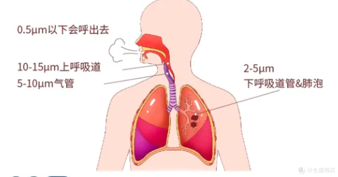 （图片来源网络，侵删）