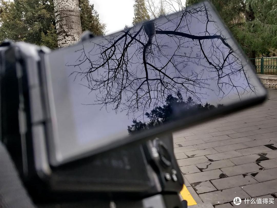 有你更酷，带着iQOO12手机摄影记录天坛公园的游客和独特建筑