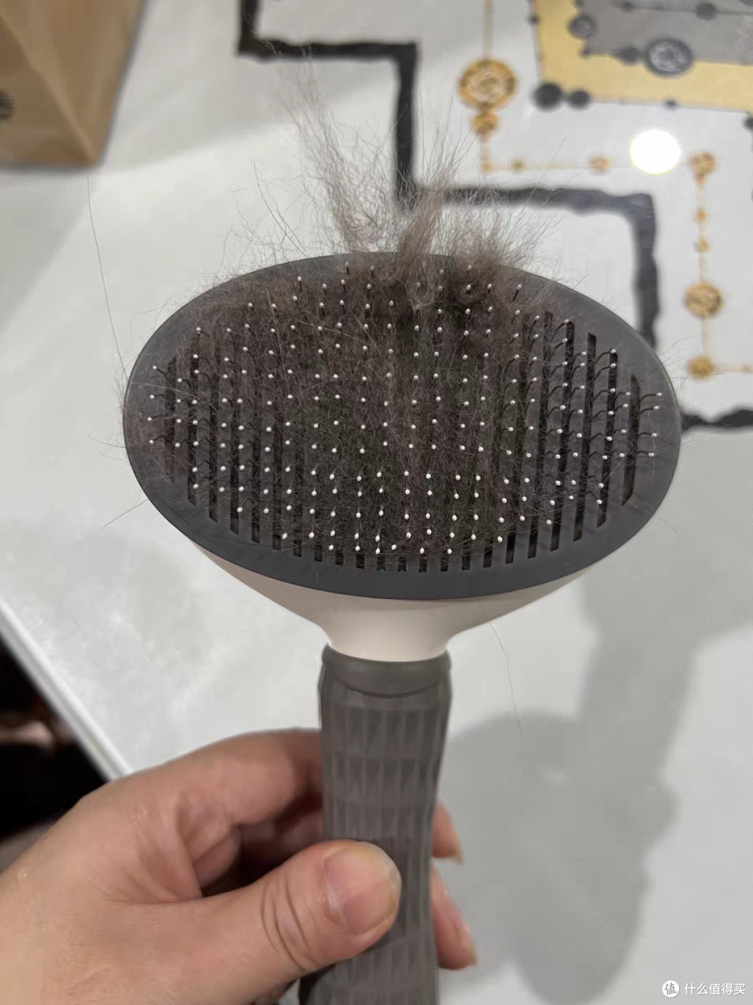 春节啦,让狗狗也变的干干净净