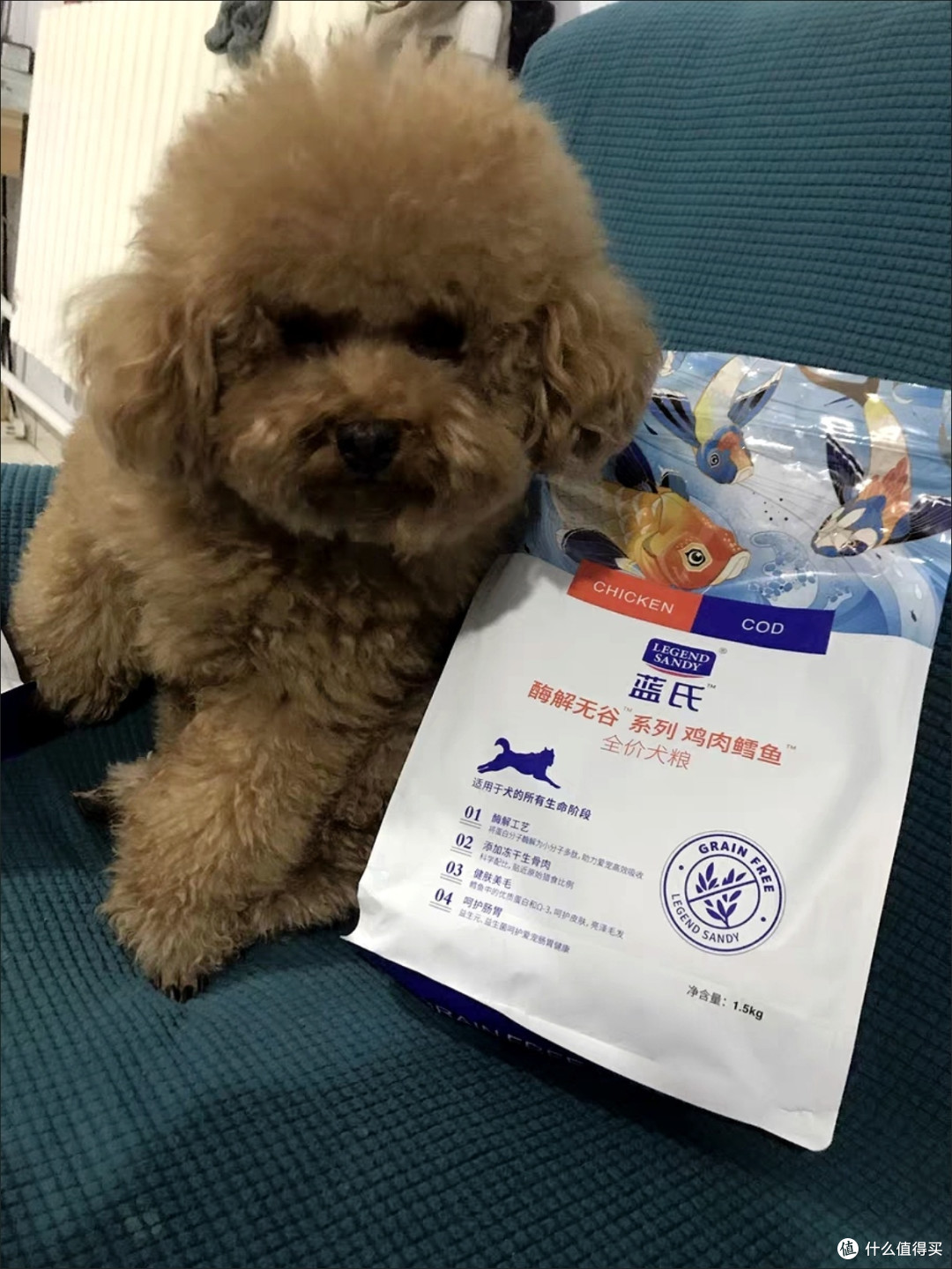 狗粮就选蓝氏