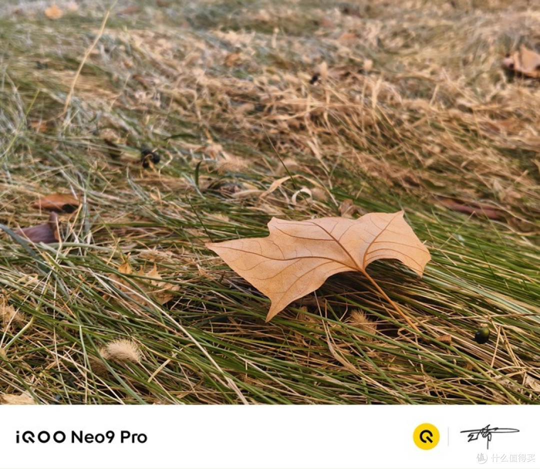 iQOO Neo9 Pro:新年换新机,喜气洋洋过大年!