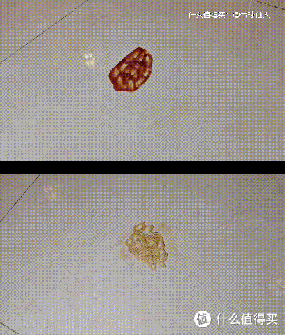 洗地机哪个牌子好、怎么选？多类别洗地机真机实测及产品推荐，让你看到不一样的洗地机