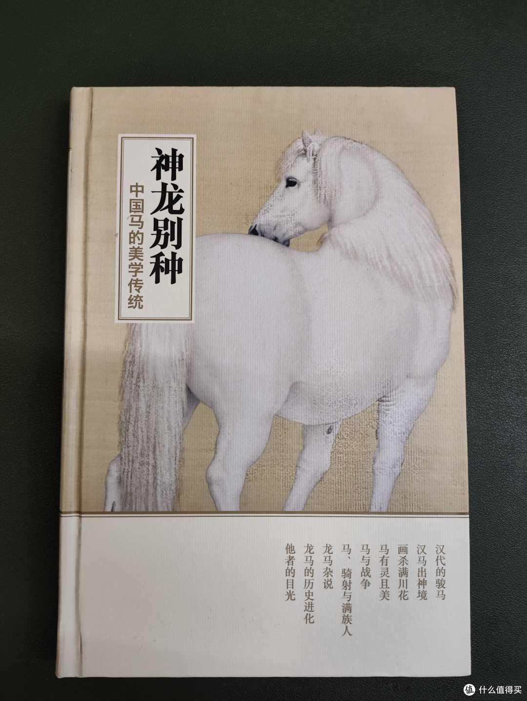 《神龙别种》中国马的美学传统