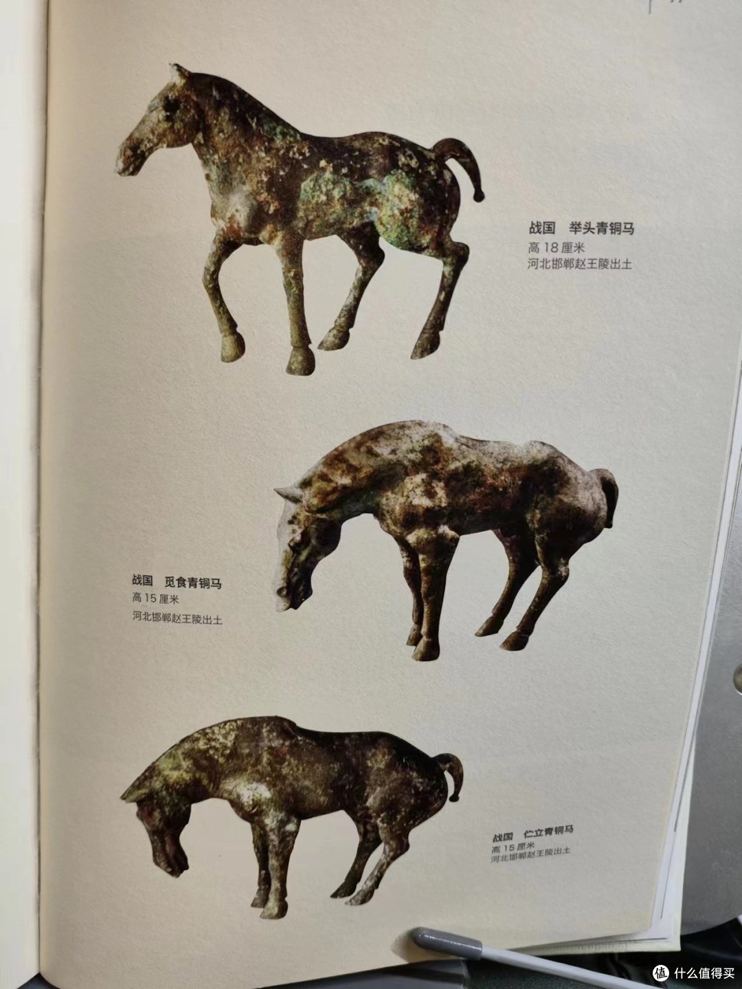 《神龙别种》中国马的美学传统