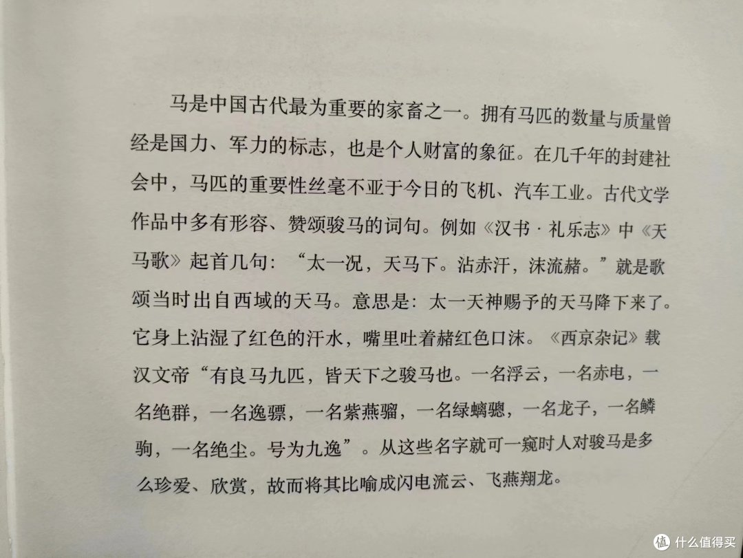 《神龙别种》中国马的美学传统