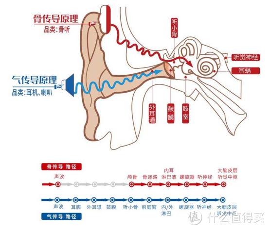 2024年骨传导耳机天花板 | 骨传导耳机是智商税吗？earsopen 骨聆SS900骨传导耳机深度体验分享