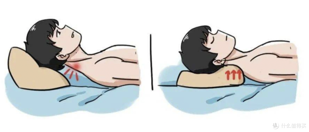 枕头对睡眠的影响大吗?几百块钱的枕头是智商税吗?睡眠博士VS翼眠VS 躺岛猫肚皮3款枕头大测评!