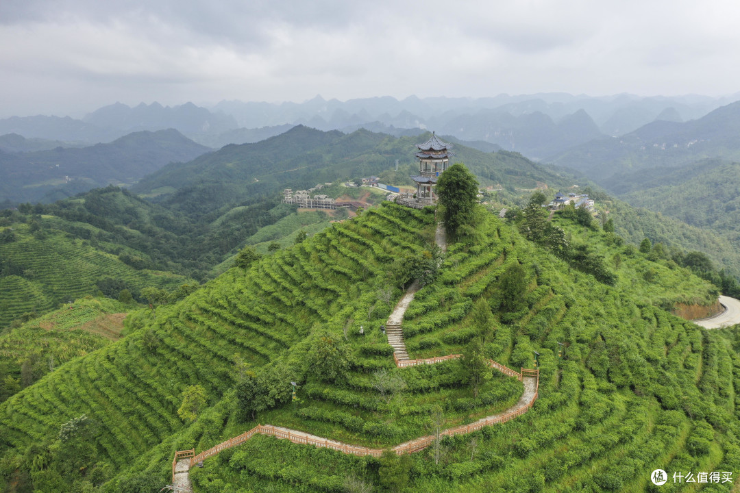 只宠东北老铁——广西多个景区开放免票福利,欢迎来广西旅游!