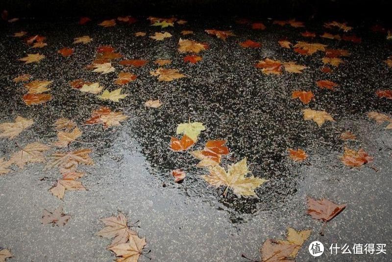 今日腊月初一，古话“不怕初一晴，就怕初一淋”，下雨有啥说法？