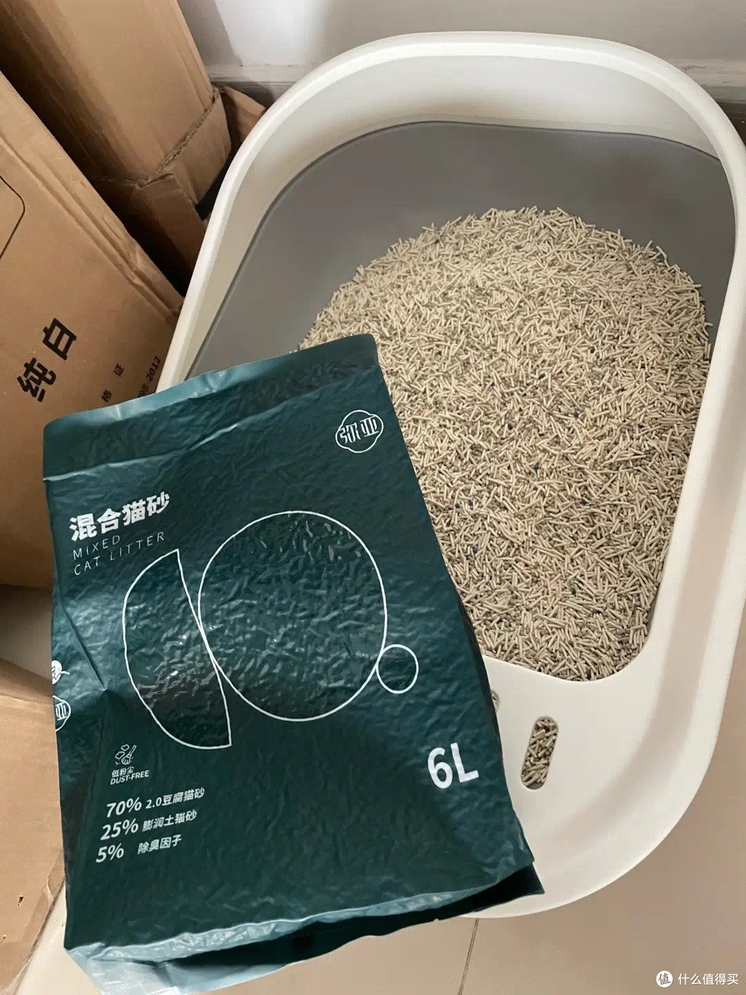 新年猫咪用品囤货指南