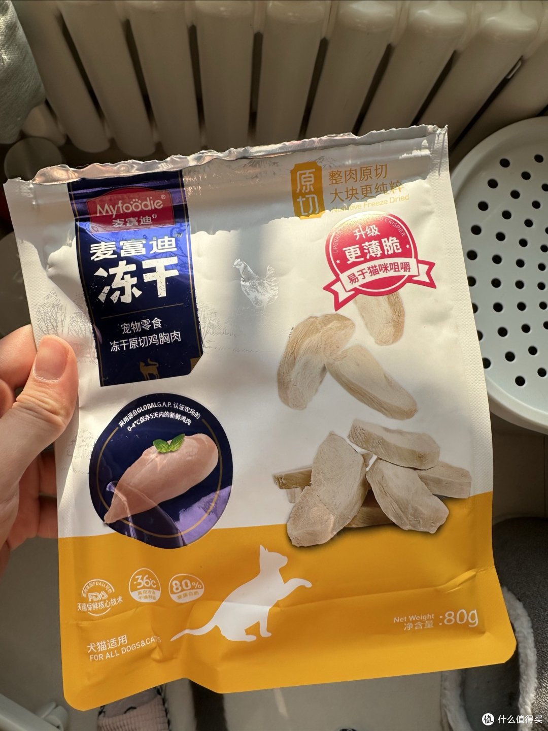 新年猫咪用品囤货指南