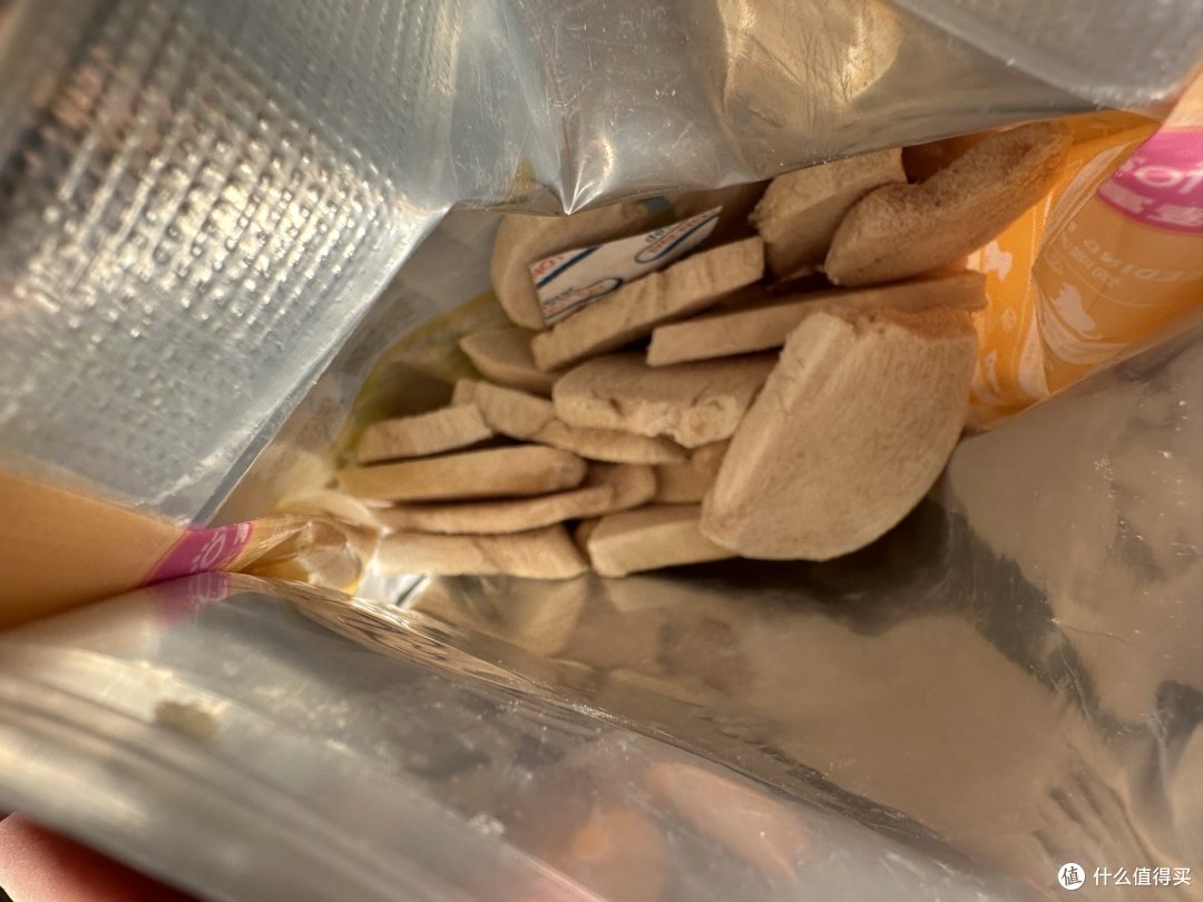 新年猫咪用品囤货指南